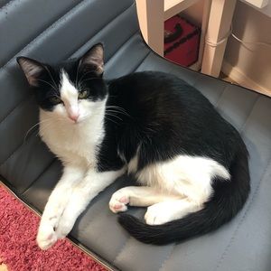 Meet your Posher, Janan